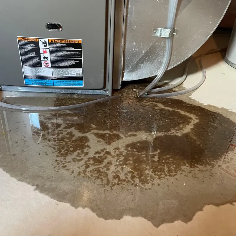 Appliance Leak Cleanup in Mims, FL